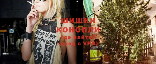 гашиш Богданович