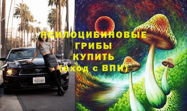 spice Аркадак