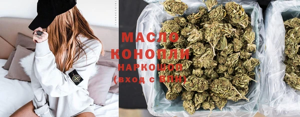 индика Арсеньев