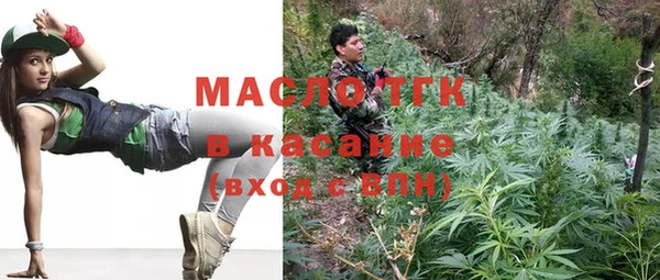 индика Арсеньев