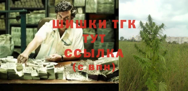 гашиш Богданович