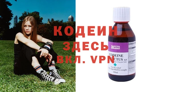 индика Арсеньев