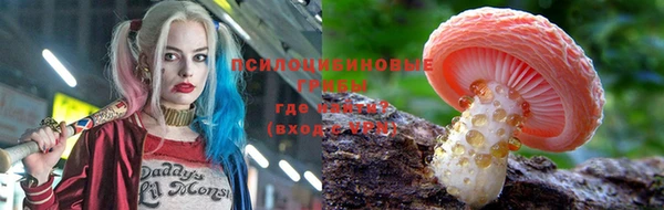 эйфоретик Богородск