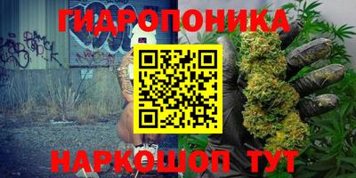 спиды Ливны