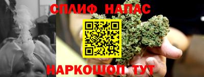 спиды Ливны
