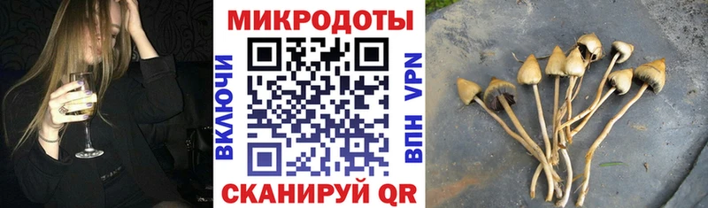Галлюциногенные грибы мицелий купить Кубинка
